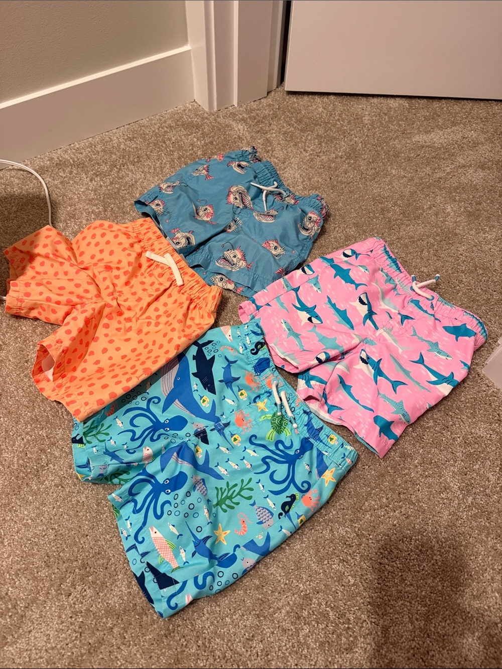 Boys Swim Trunks 4t, 5t and 5